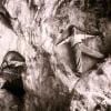 Initiatory pentagram - Bethlehem grotto - summer 1932
